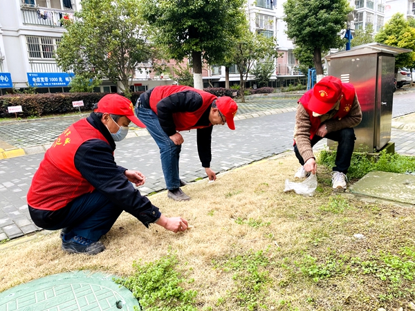 桂溪街道和平社区开展3·12植树节植绿护绿志愿者活动