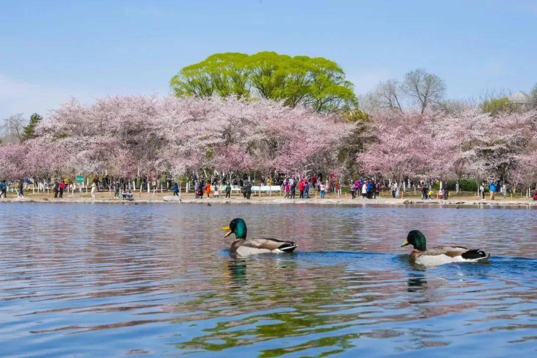 假日旅游多点开花