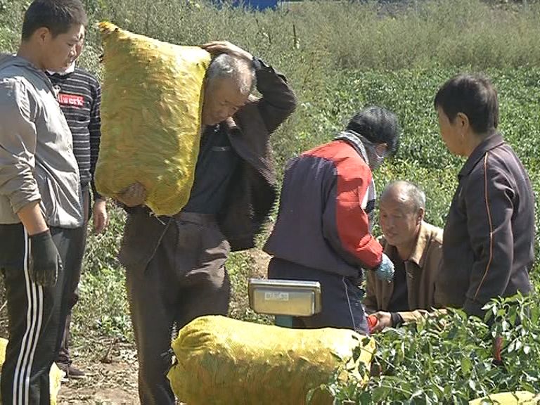 山西省晋城市高都镇推动乡村e镇建设,带动村民致富增收 古朴山乡做强“特色电商”
