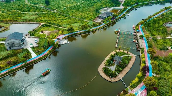 重庆万州:打造绿色生态长廊 筑牢三峡库区生态屏障