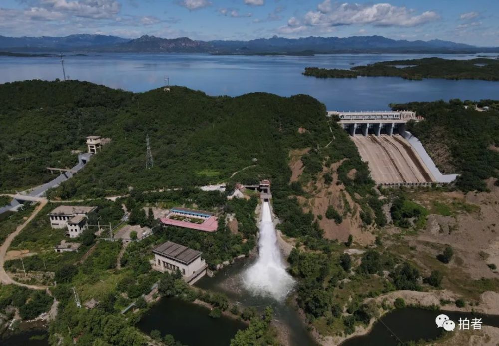 北京密云水库鸟岛迎来出生潮