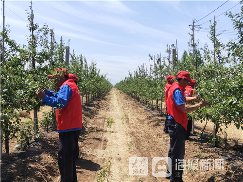 农旅融合强发展 特色产业促增收