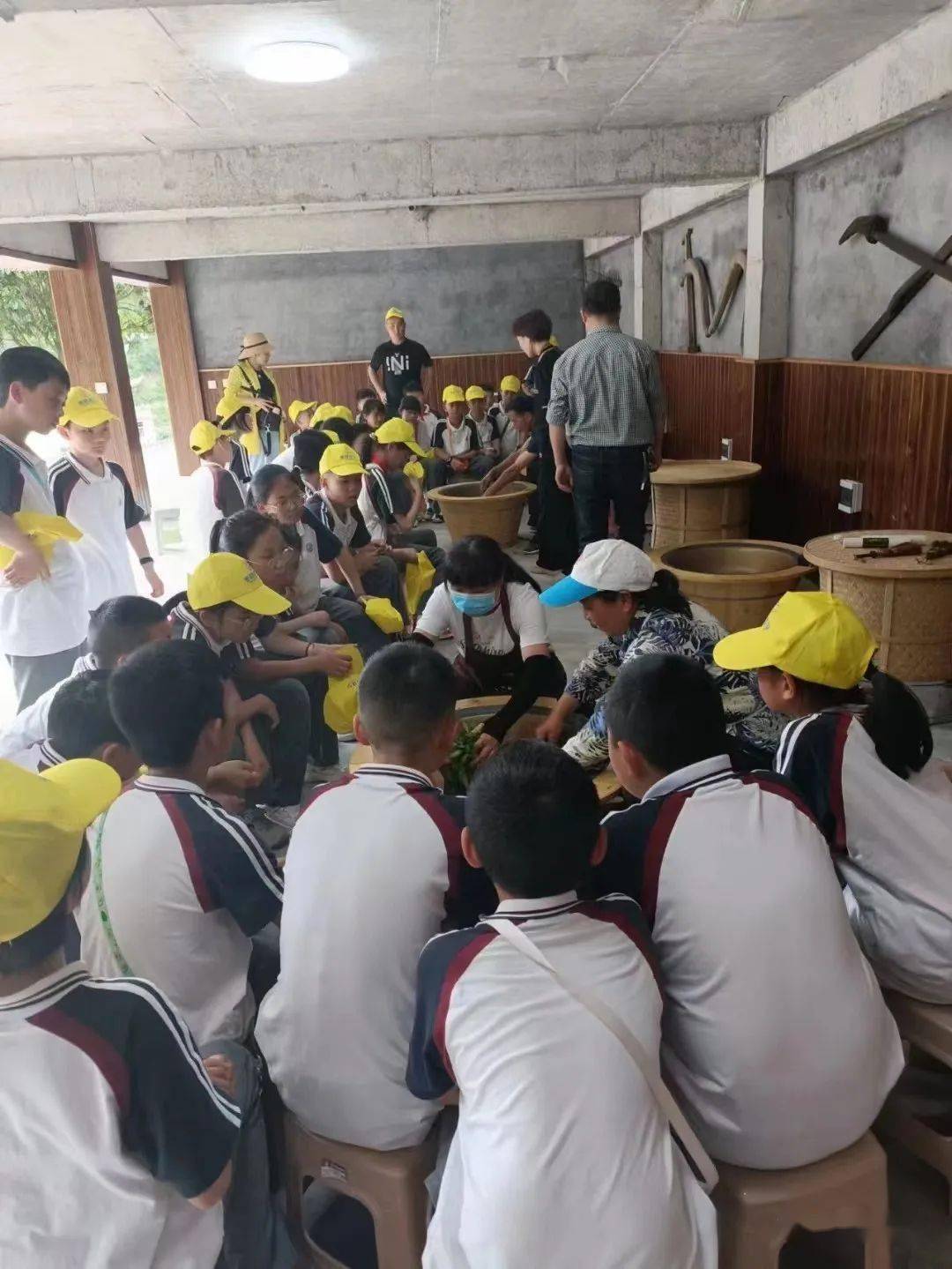 在研学中成长——一份特殊的儿童节礼物