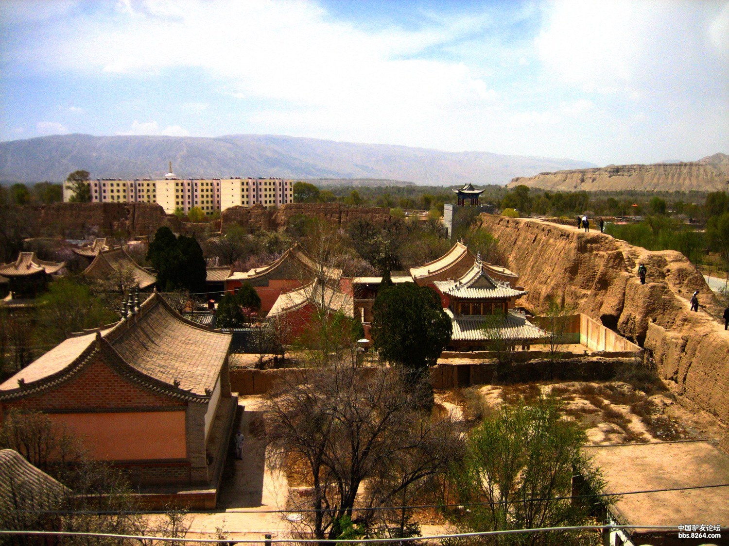 青海西宁： 高原古城绿意浓