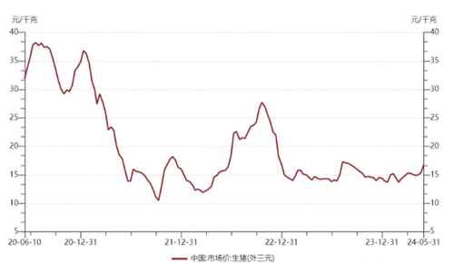 生猪供需基本面在逐步缓解，畜牧ETF(159867)冲击10连阳