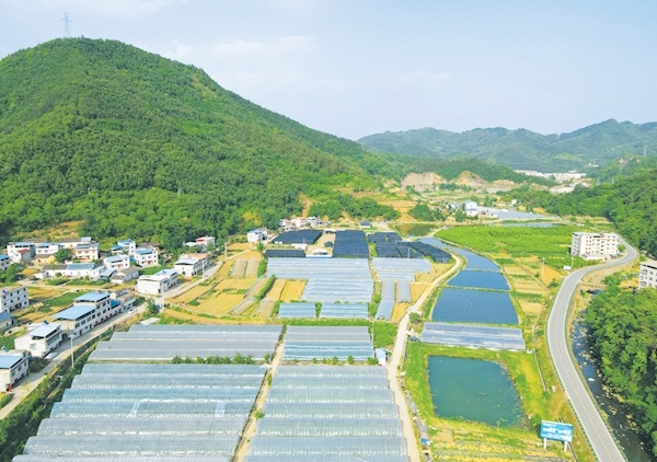 天津市蓟州区促进人居环境改善与生态环境相融 “生态好了，我们的生活也更兴旺”