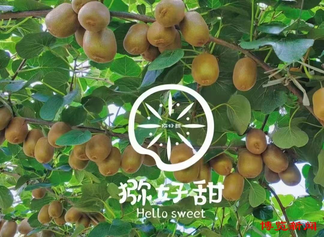 消费电商激发市场潜能 前五月网上零售额增长百分之十二点四