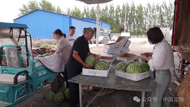 听音辨生熟，日入数千元 “吃瓜季”来临，验瓜师成抢手资源