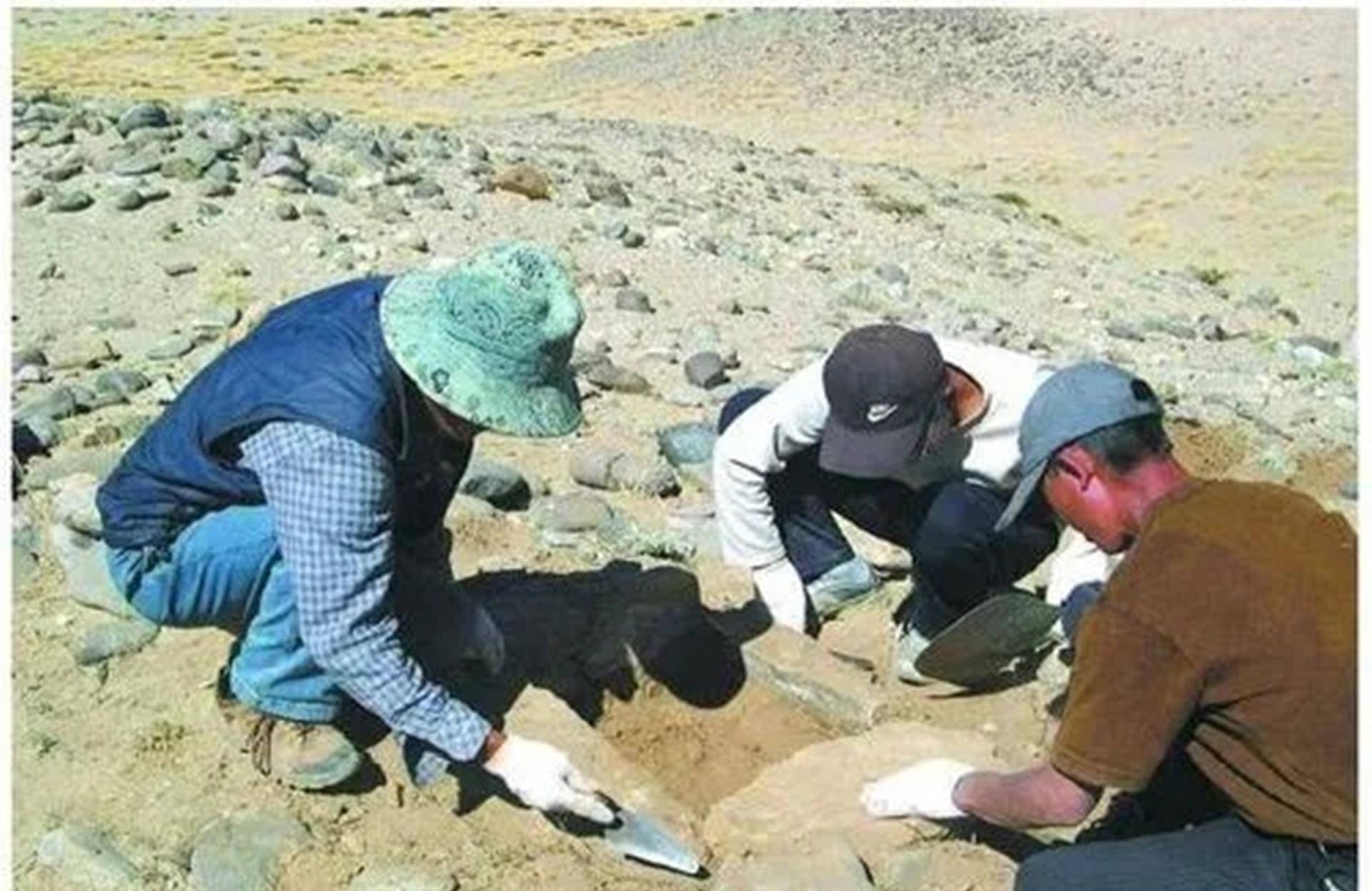 西藏珠峰又因信披问题被罚！董秘胡晗东年内至少三次被点名警示