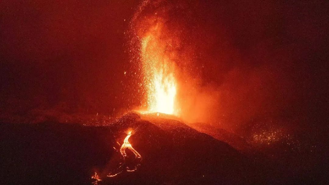 中百集团触及涨停 回应：与胖东来合作范围具体还在商谈