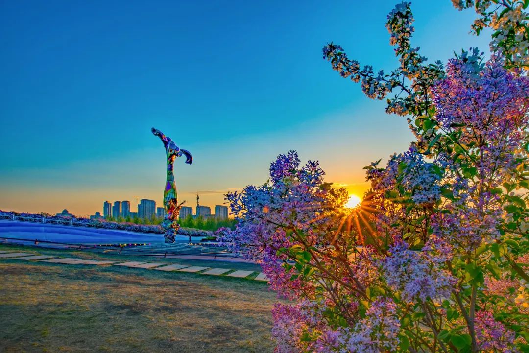 哈尔滨：清凉“冰城”避暑游“升温”