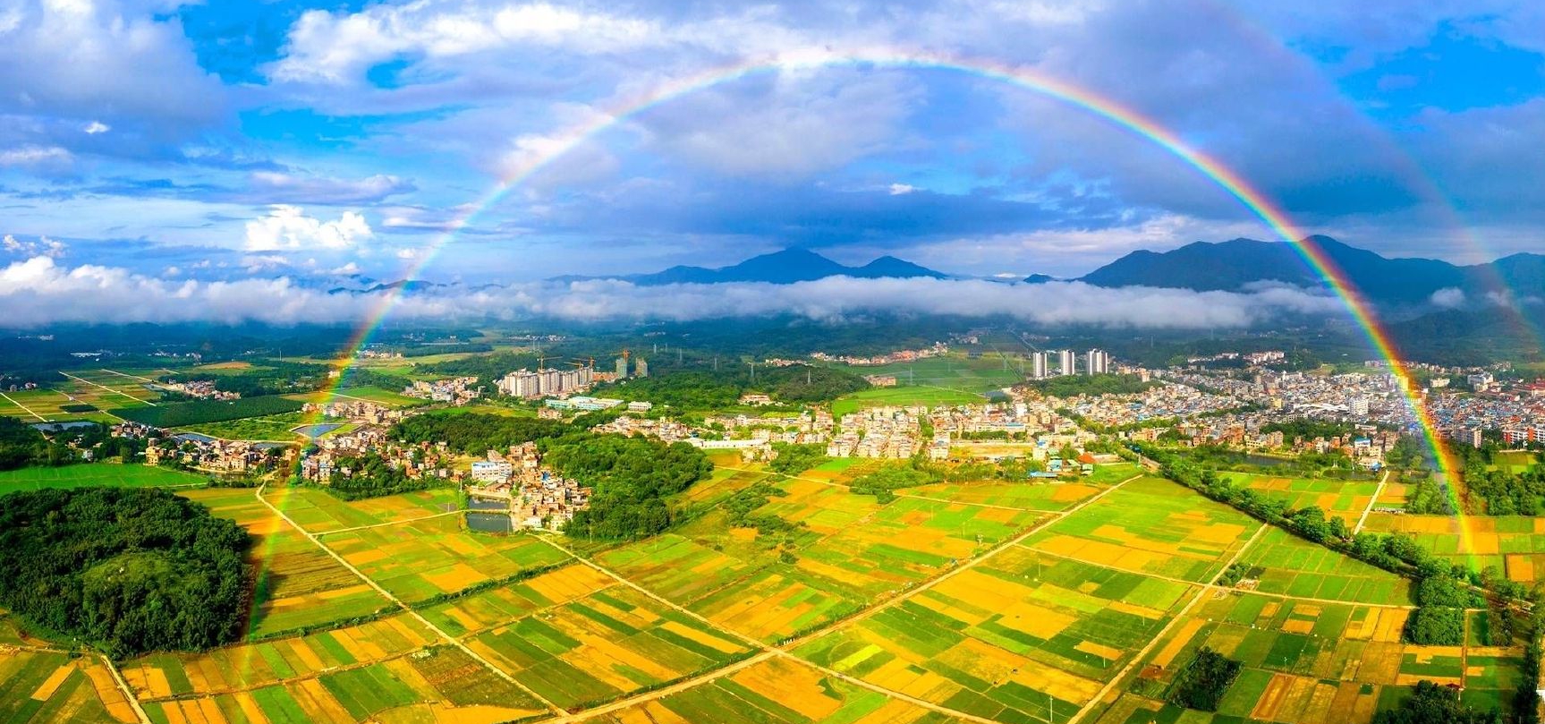 2024“数商兴农”进湖南暨惠民惠企活动举行