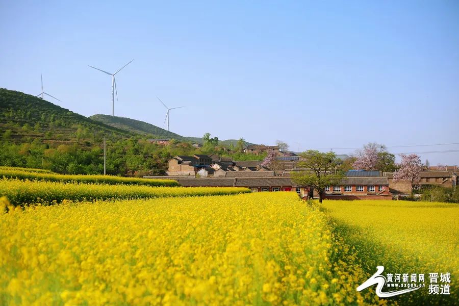 夏日乡村美景引游人