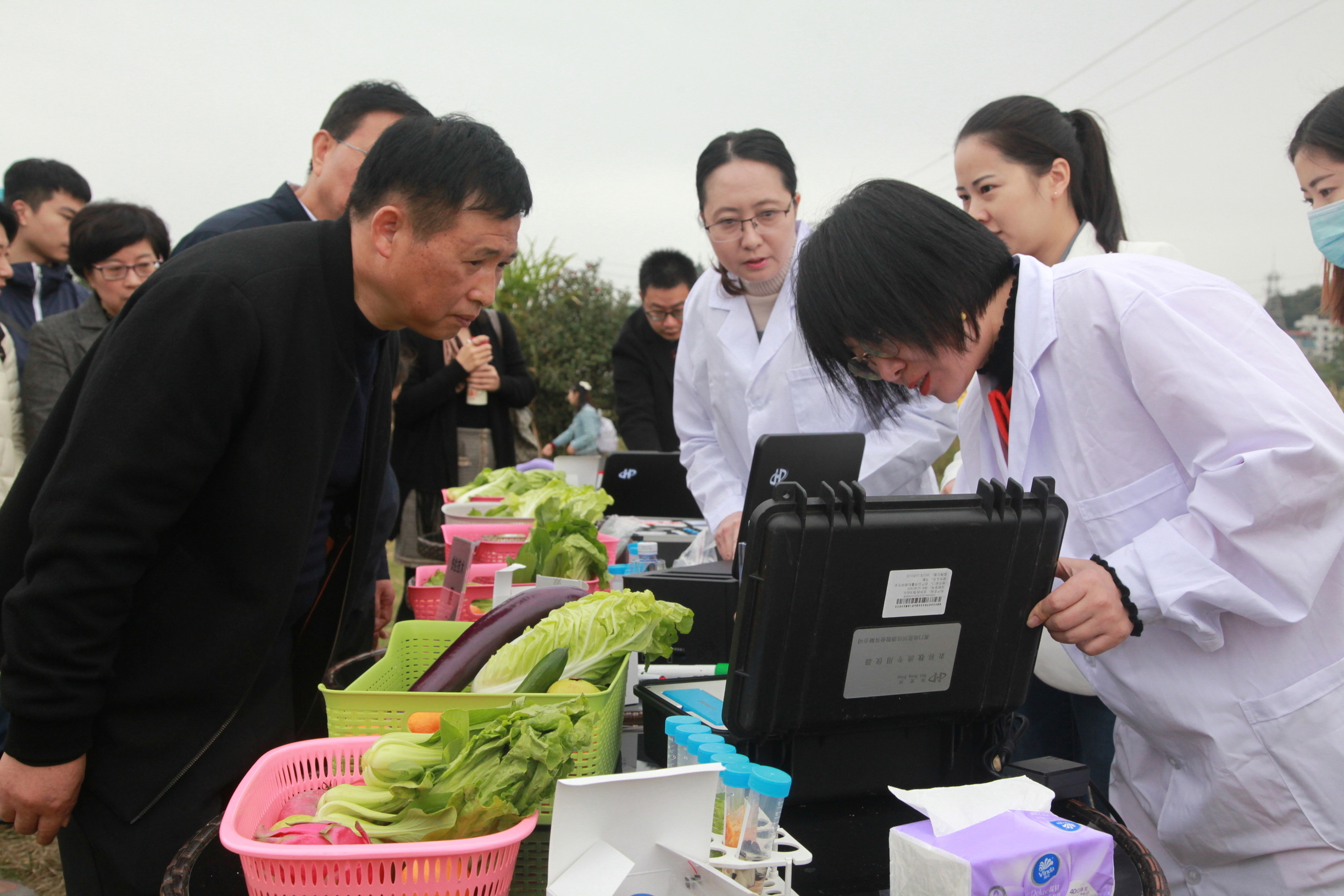 科技赋能智慧养牛助推乡村振兴向“新”提“质”