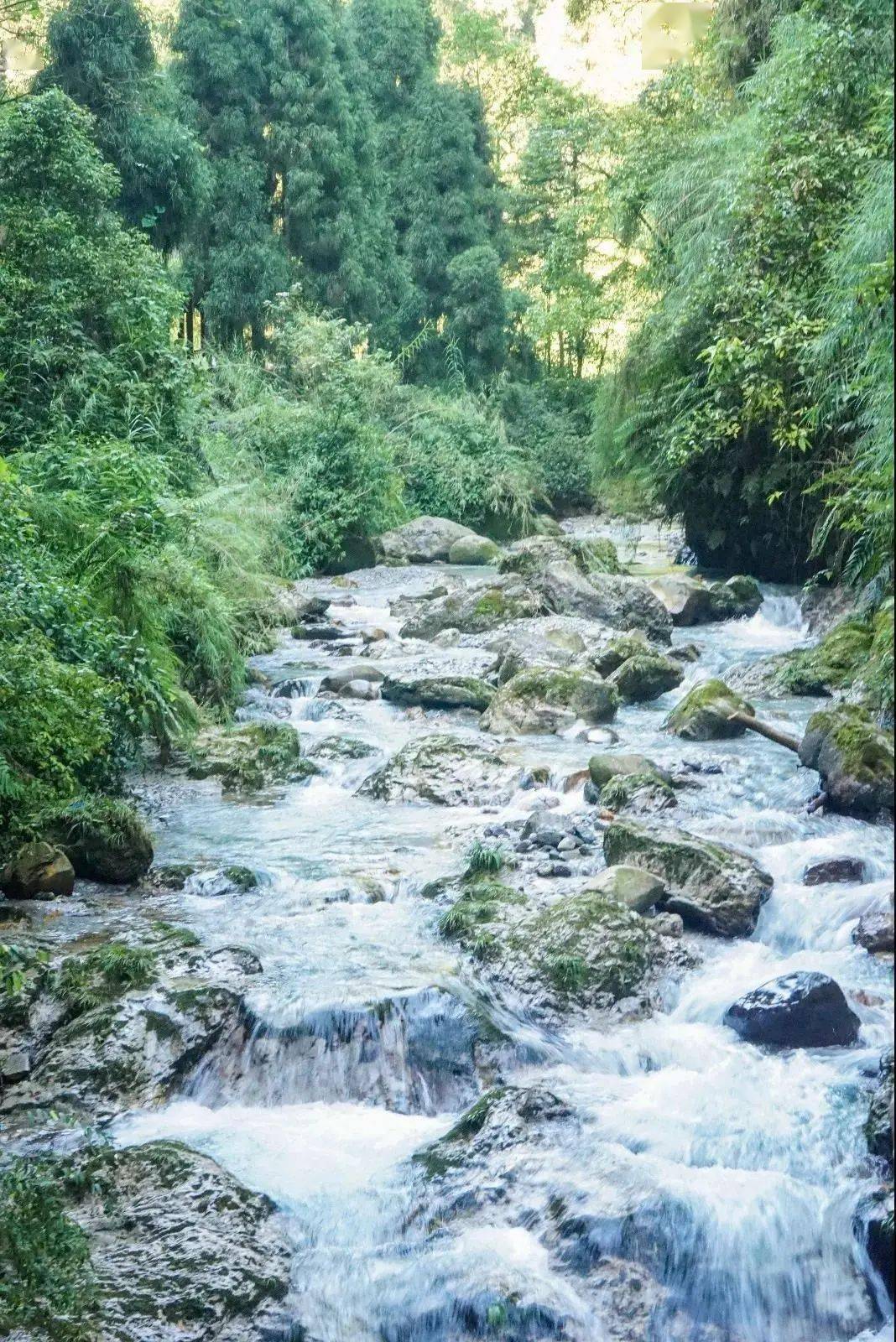 巴适又City，达州文旅赴西安推介“大巴山里的凉爽夏季”