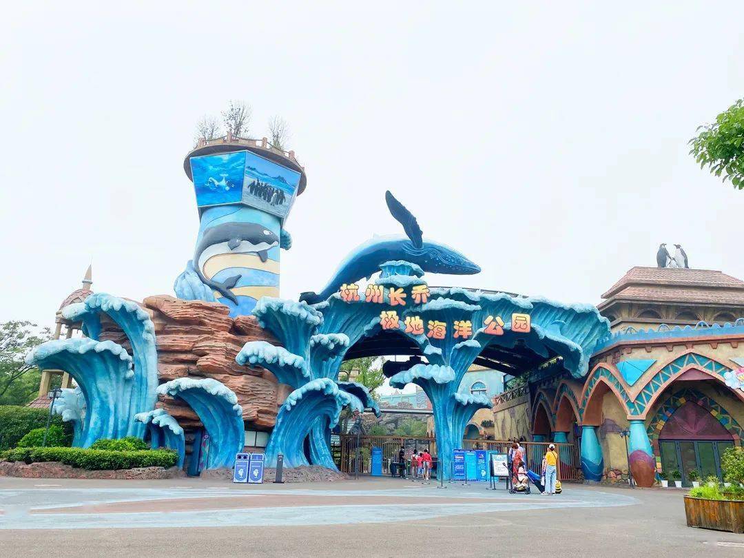 视频｜高温阻挡不了暑期游！海洋公园订单环比上涨95%