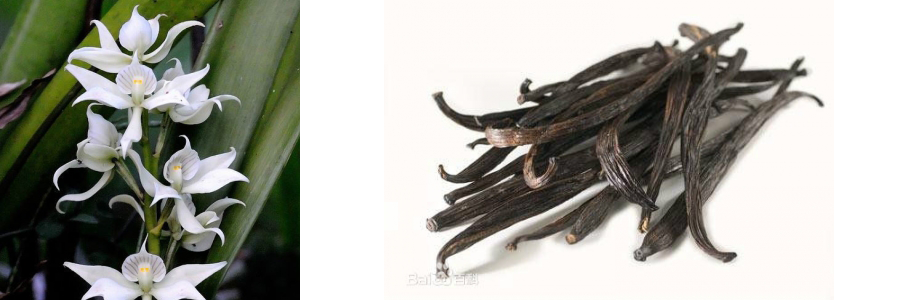 可食用香料“香兰素”调价至570元/千克？亚香股份回应