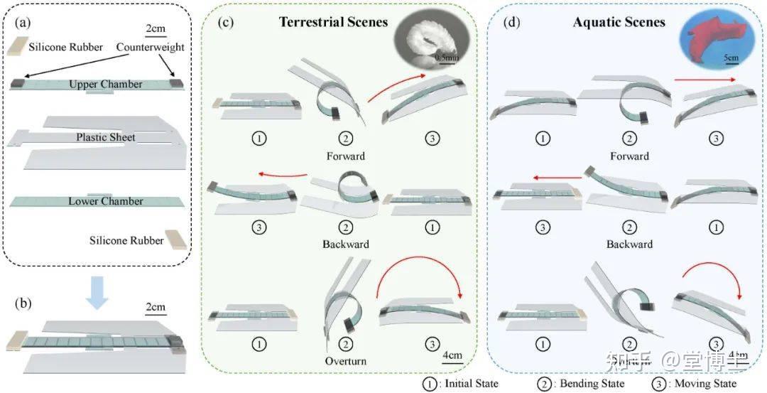 软体机器人挺进4070米深海,机器人ETF基金(562360)交投活跃,机构:人形机器人将进入迅猛增长阶段