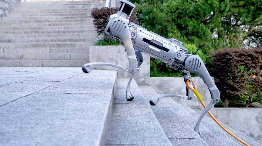 宇树科技“巨星狗”将亮相！机构：建议在科技主线内高切低，关注机器人板块