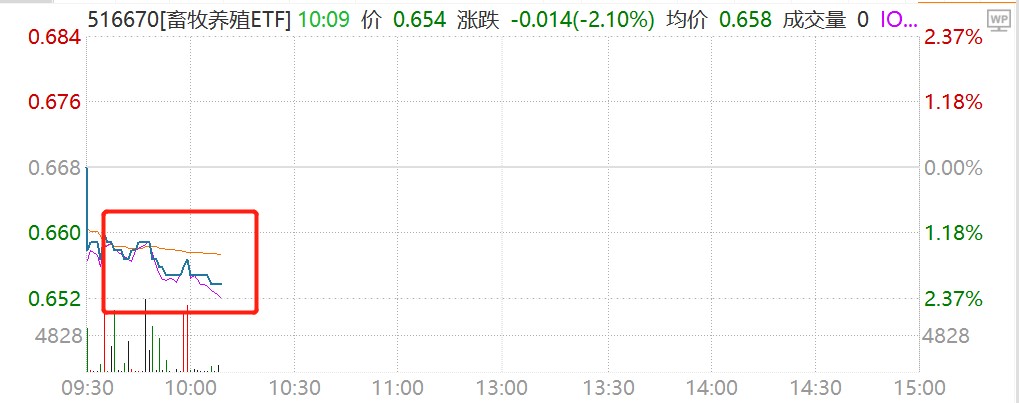 去化提速！能繁母猪跌破4000万头，猪肉股盘中上涨，低费率畜牧养殖ETF（516670）近20日“吸金”9600万元