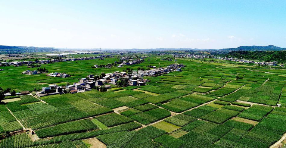 农业农村部：有力有效扩大农产品消费！农业ETF天弘（512620）单日成交额超830万元，食品饮料ETF天弘（159736）上周累计“吸金”超4200万元